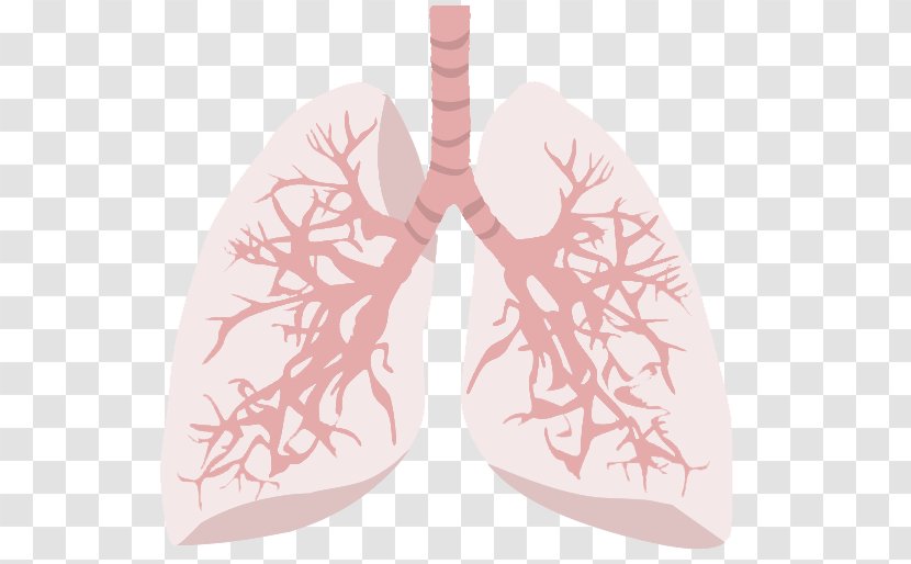 Human Body Smoking Heart Disease - Cartoon - Meridian Transparent PNG