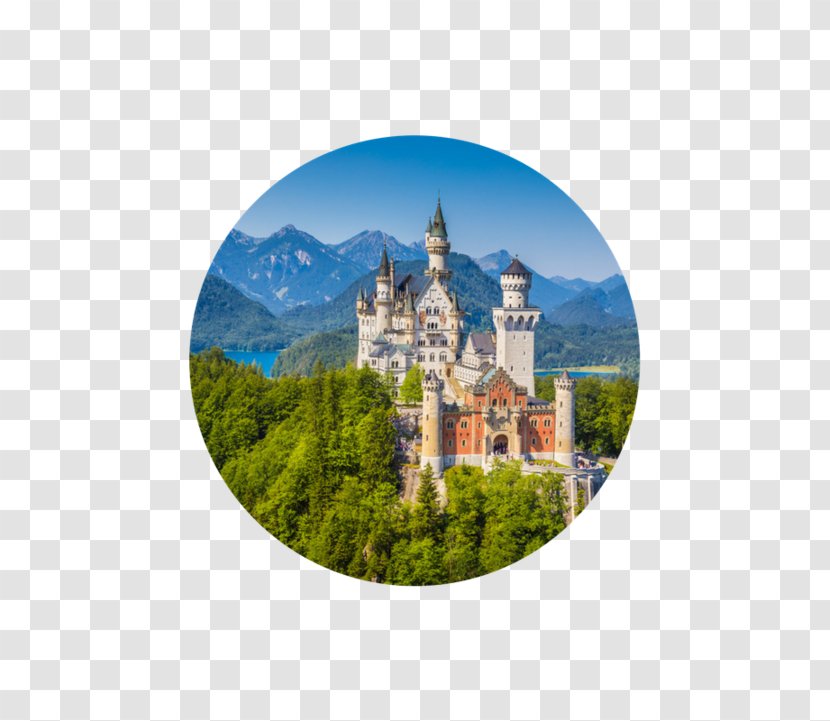 Neuschwanstein Castle Munich Hohenschwangau Romantic Road Palace - Germany Countryside Transparent PNG