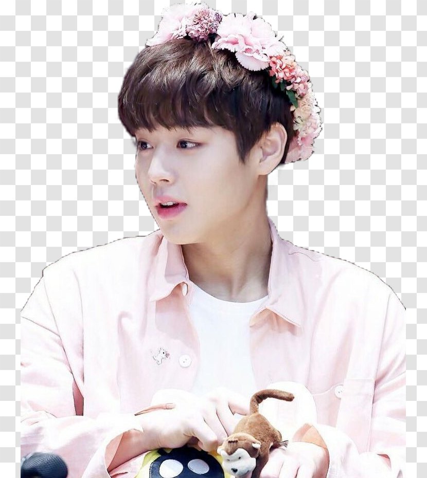 Park Jihoon Wanna One Produce 101 Season 2 Nothing Without You - Flower Transparent PNG