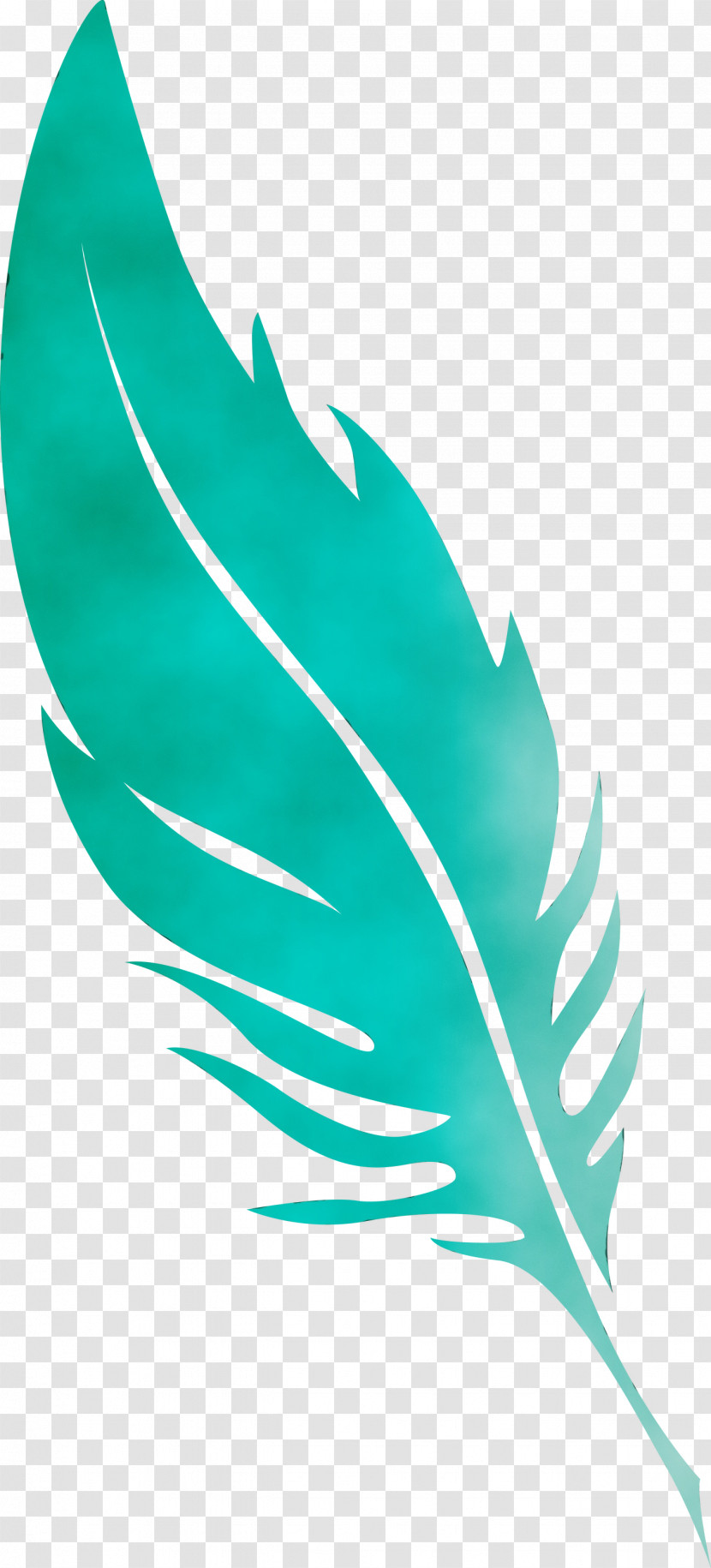 Leaf Green Quill Line Plant Structure Transparent PNG