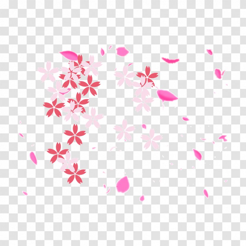 Cherry Blossom Vector Graphics Image Design - Magenta - Schwimmender Blumen Transparent PNG