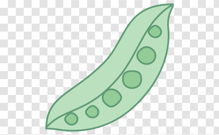 Pea Common Bean Color Green - Plant Transparent PNG