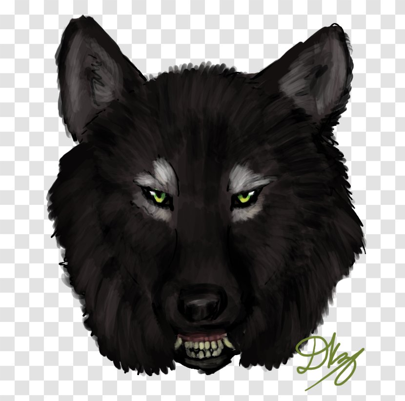 Gray Wolf Whiskers Snout Fur Werewolf - Carnivoran Transparent PNG