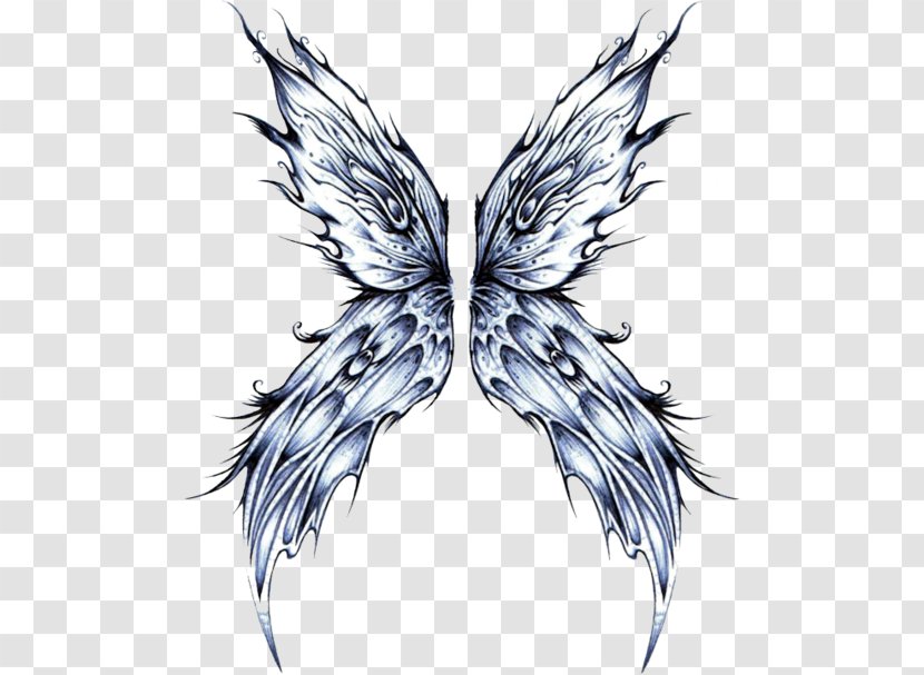 Butterfly Drawing Papillon Dog Fairy - Leaf Transparent PNG