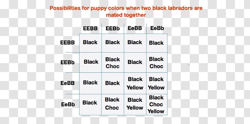 Document Line Organization Angle - Brand - Black Dog Puppy Transparent PNG