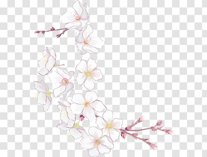 Cherry Blossom Flower Petal Floral Design - Color Transparent PNG