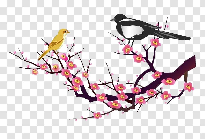 Lunar New Year Peach Ochna Integerrima - Twig - Bird On Plum Blossom Transparent PNG