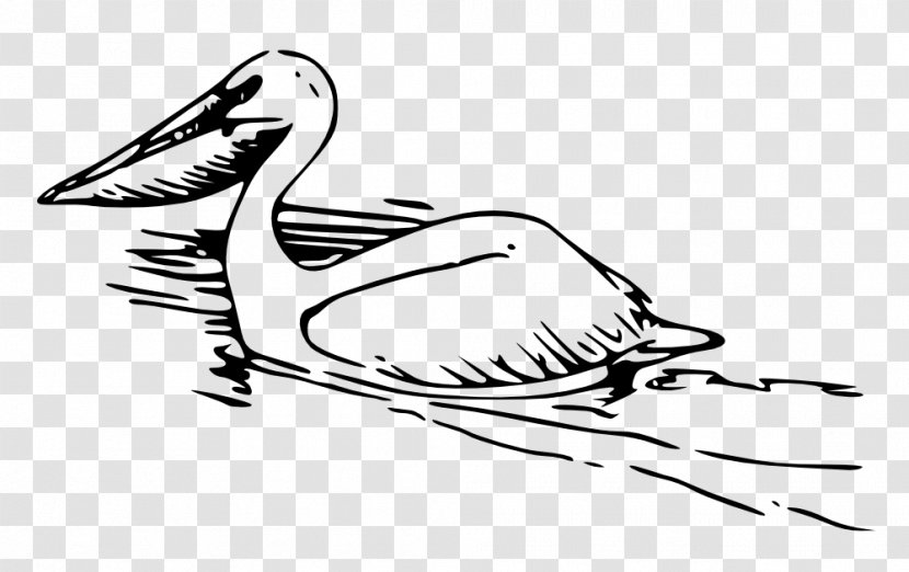 Black And White Clip Art - Wildlife - Pelican Transparent PNG
