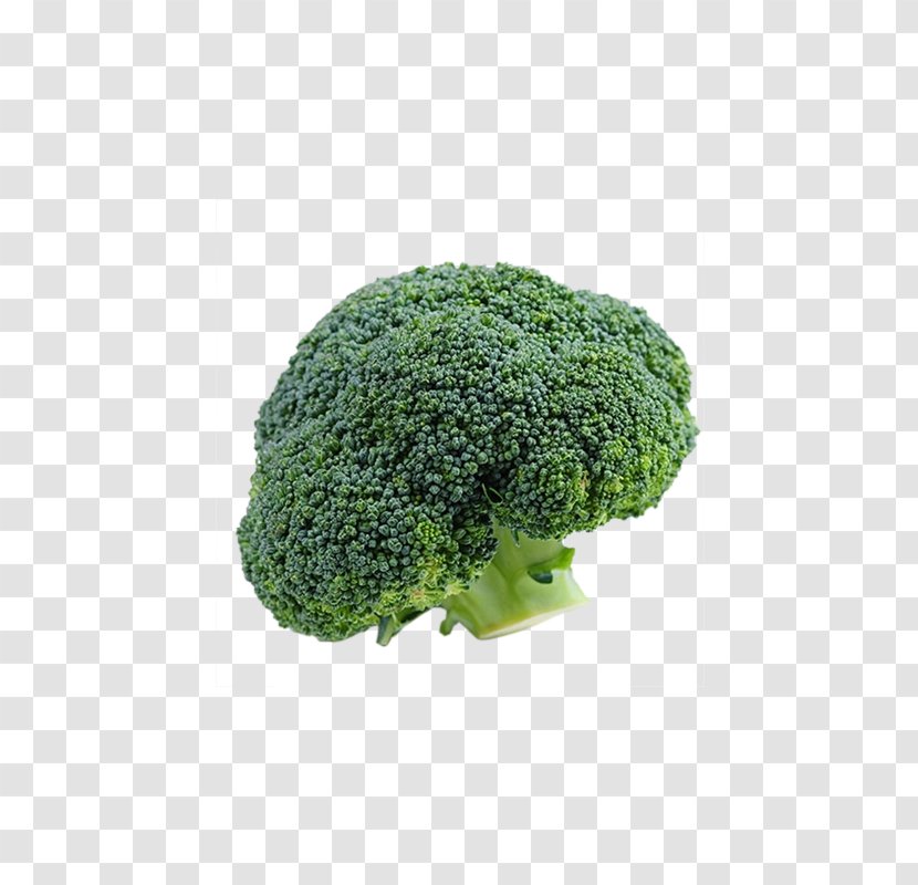 Broccoli Vegetable Cauliflower - Grass Transparent PNG