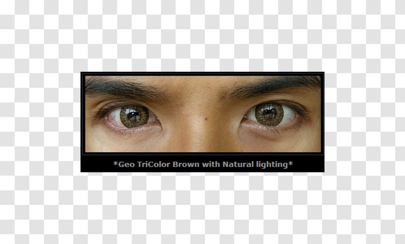 Eyelash Extensions Brown Eye Shadow Liner Contact Lenses - Artificial Hair Integrations - Circle Transparent PNG