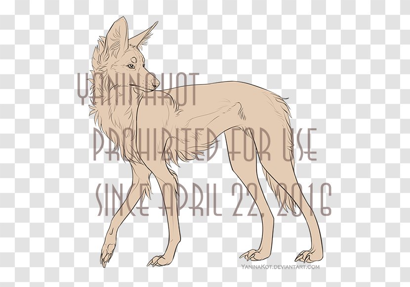 Dog Breed Maned Wolf DeviantArt Line Art - Joint Transparent PNG