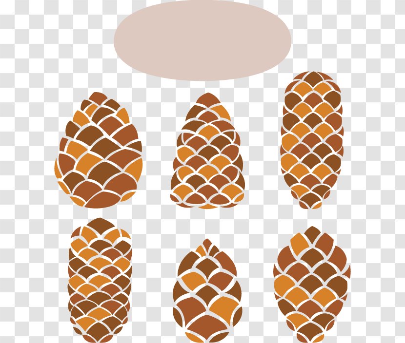 Conifer Cone Pine Euclidean Vector - Drawing - 6 Creative Design Material Transparent PNG
