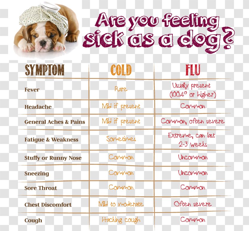 Common Cold Influenza Flu Season Sinus Infection Transmission - Dog Like Mammal Transparent PNG