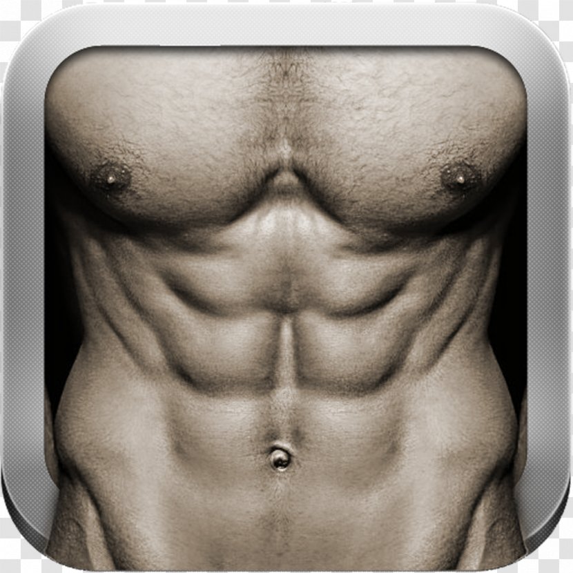 Abdominal Exercise Rectus Abdominis Muscle Crunch Personal Trainer - Heart - Tree Transparent PNG