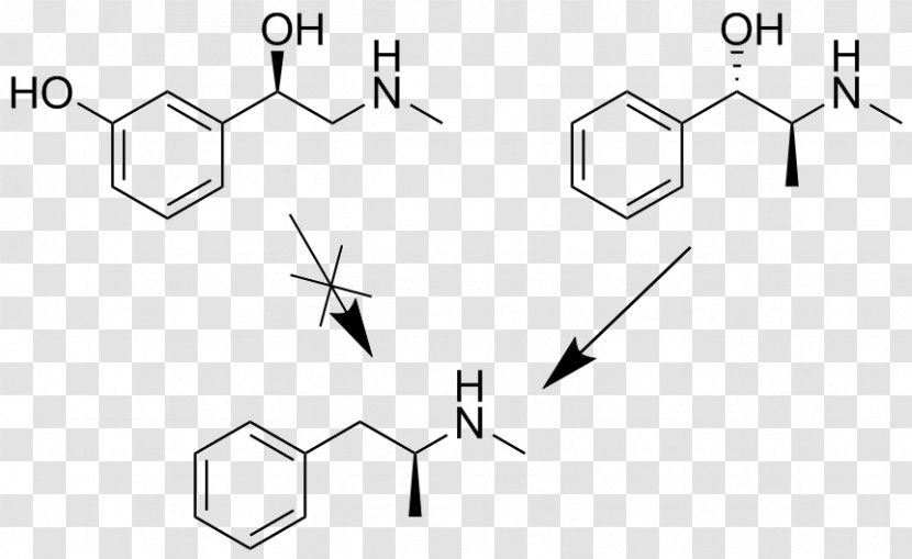 Norepinephrine Diclofenac Cefadroxil Adrenaline Phenylephrine - Ephedrine Transparent PNG