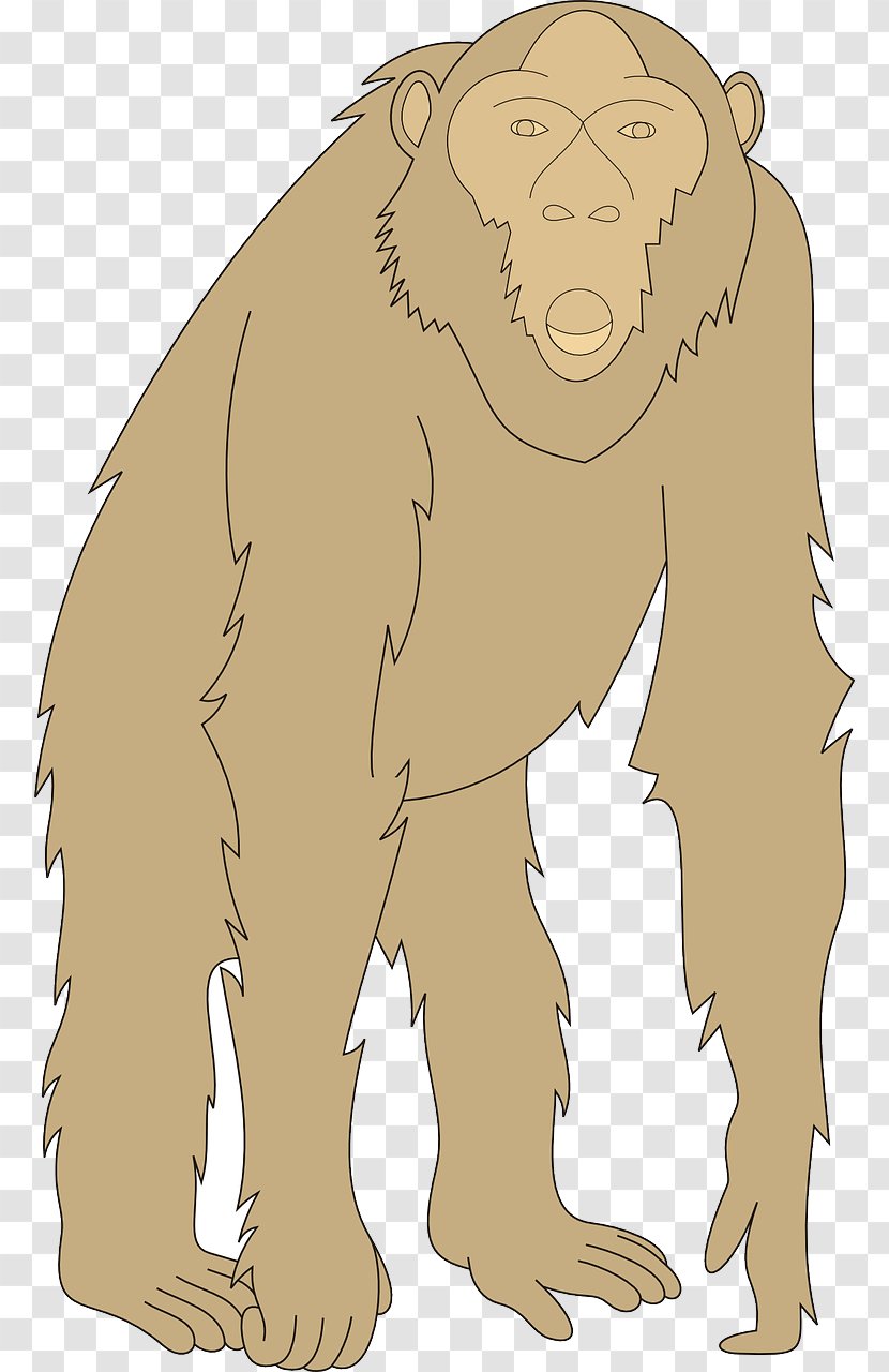 Gorilla Orangutan Homo Sapiens Illustration - Silhouette - Brown Transparent PNG