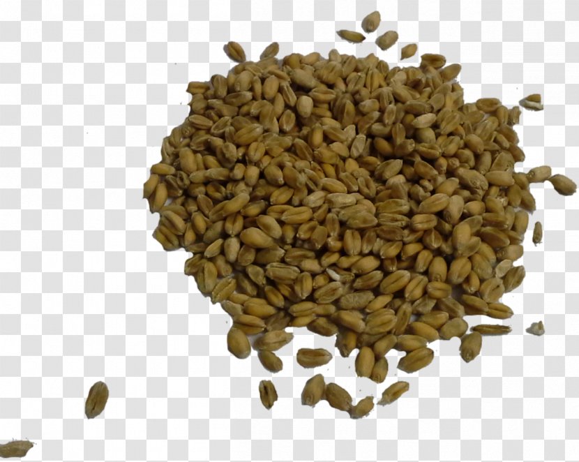 Nut Commodity Seed - Whole Grain Transparent PNG