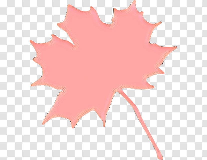 Canada Maple Leaf - Perennial Plant - Soapberry Family Transparent PNG