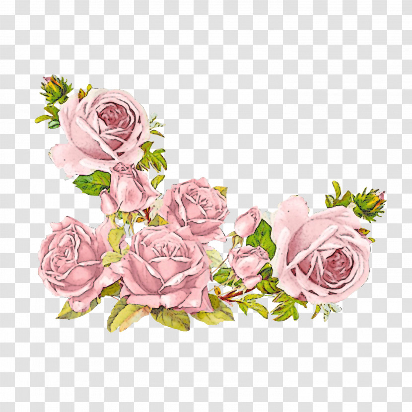 Garden Roses Transparent PNG