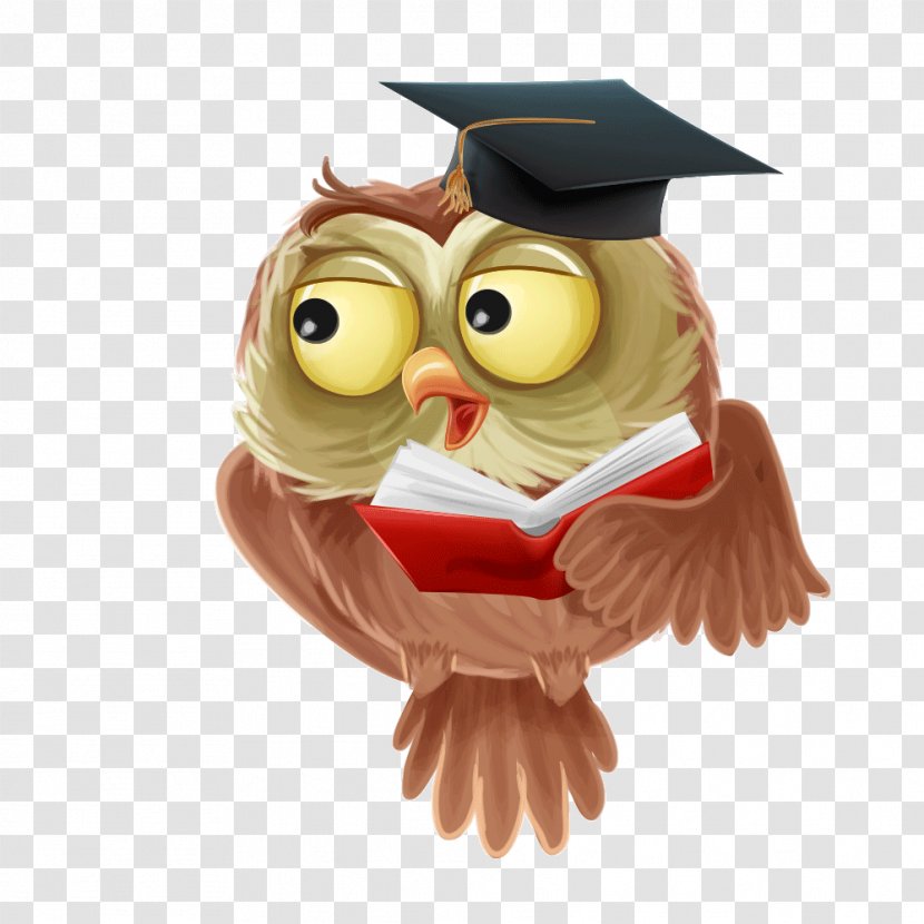 Owl Cartoon Icon - Illustration - Creative Transparent PNG