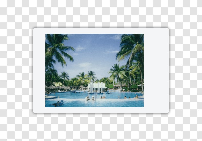 Caribbean Tropics Vacation Transparent PNG