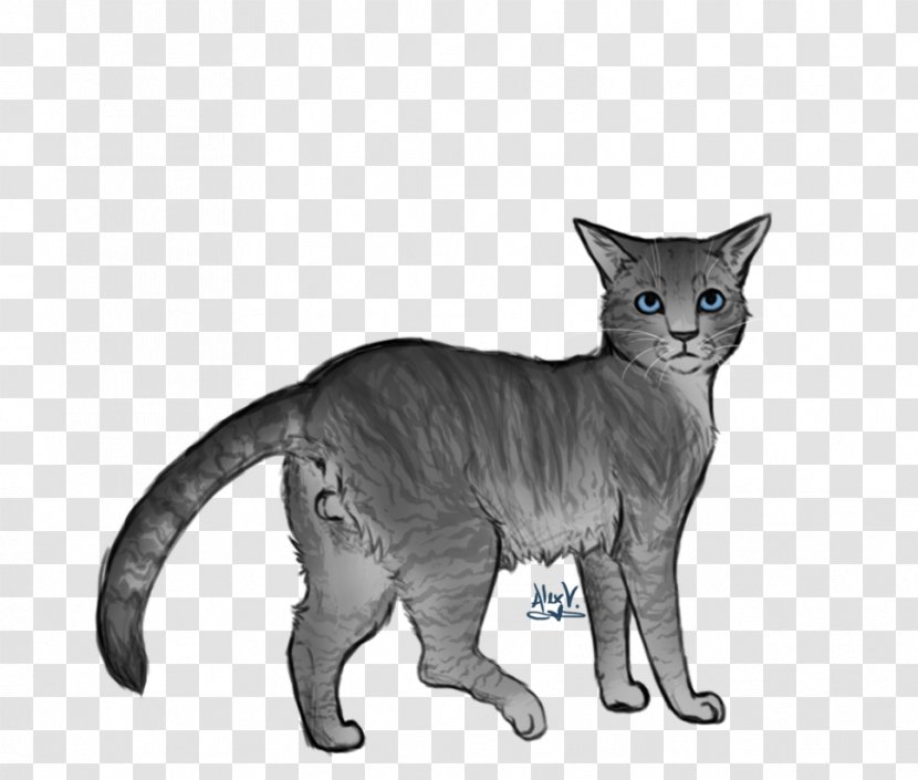 Devon Rex Kitten Whiskers Warriors Domestic Short-haired Cat - Javanese Transparent PNG