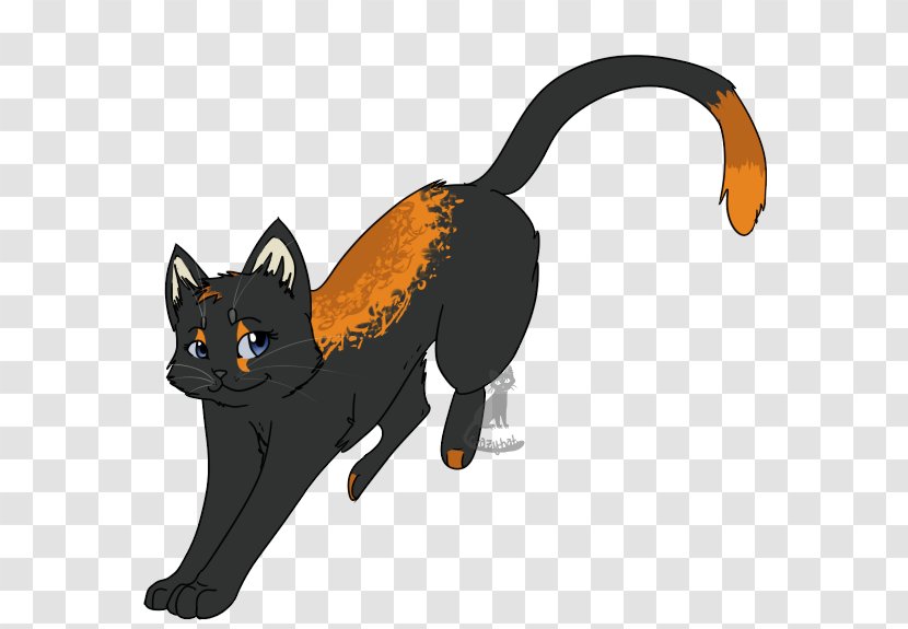 Black Cat Kitten Whiskers Dog - Vertebrate Transparent PNG