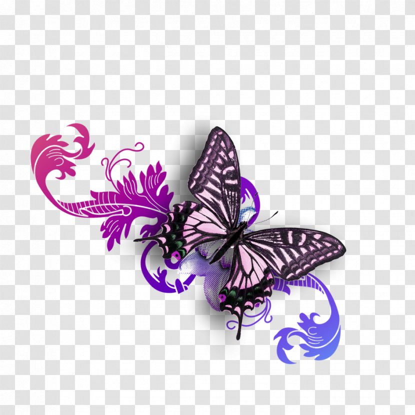 Butterfly Purple - Moths And Butterflies - Material Transparent PNG