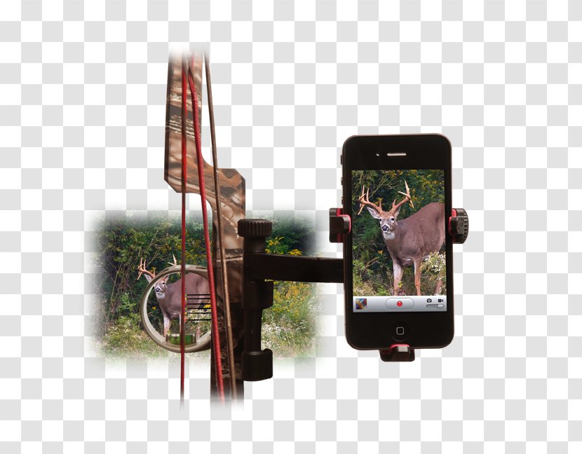 Knife Bow And Arrow Compound Bows Smartphone Hunting - Archery Transparent PNG