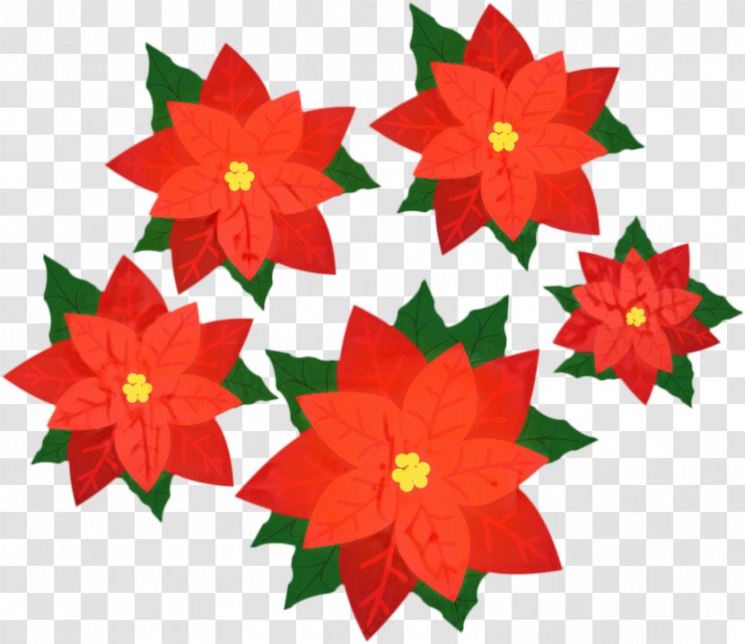 Christmas Poinsettia - Cut Flowers - Plant Transparent PNG