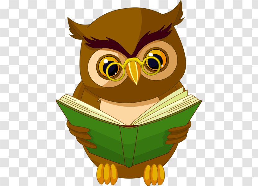 Owl Book Reading Clip Art Transparent PNG
