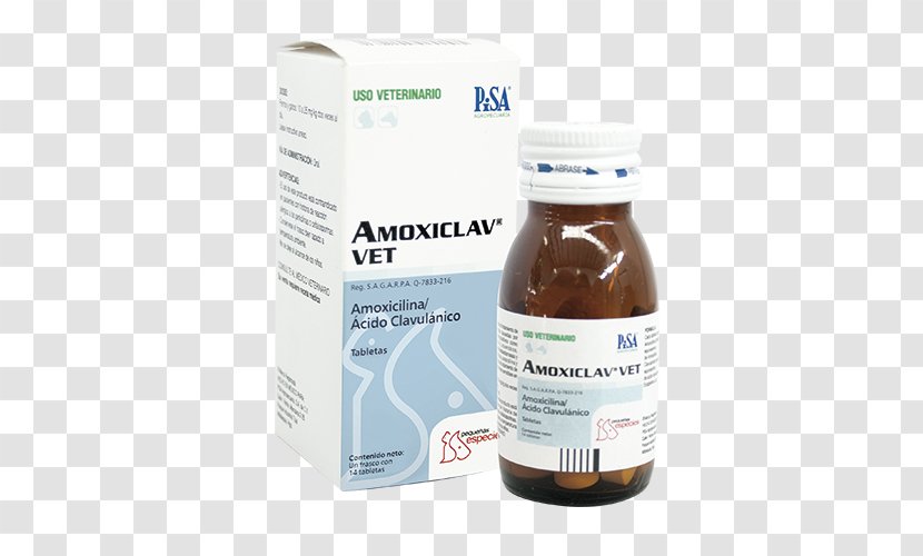 Amoxicillin/clavulanic Acid Veterinary Medicine Penicillin - Amoxicillin - ANEXO Transparent PNG