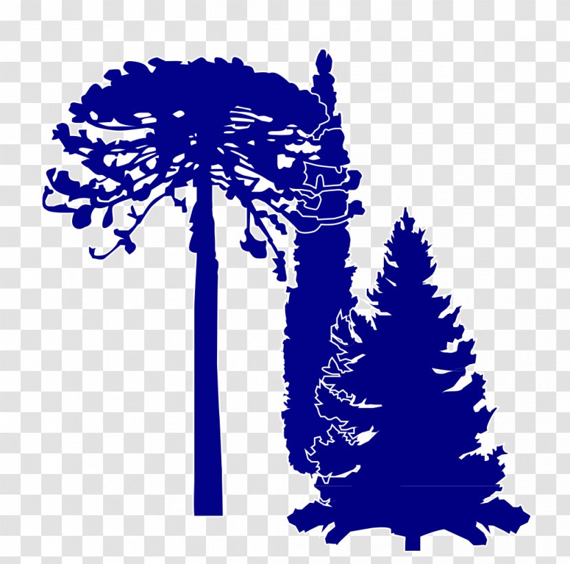 Cartoon Tree - Electric Blue - Plant Transparent PNG