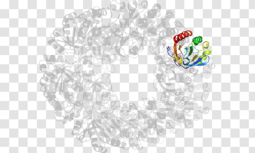 Visual Arts Flower Clip Art - Organism - Flap Structurespecific Endonuclease 1 Transparent PNG