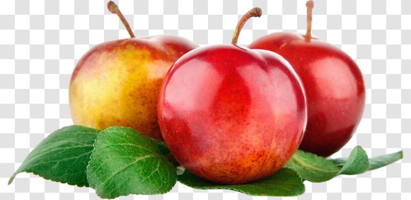 Common Plum Samsung Galaxy S9 Fruit Food Vegetable - Auglis Transparent PNG