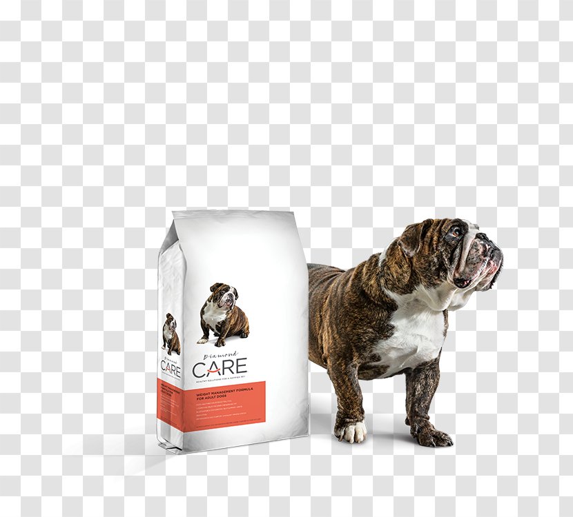 Dog Breed Bulldog Cat Food Chow - Nutrition Transparent PNG