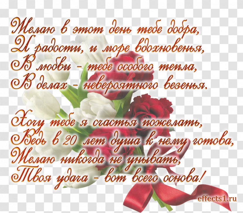 Floral Design Valentine's Day Cut Flowers Garden Roses - Text Transparent PNG