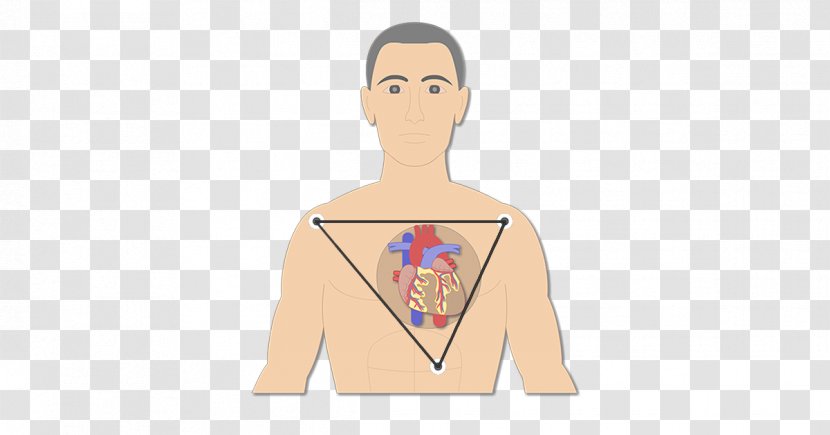 Electrocardiography Bipolar Disorder Electrical Conduction System Of The Heart - Cartoon - Standard Test Image Transparent PNG