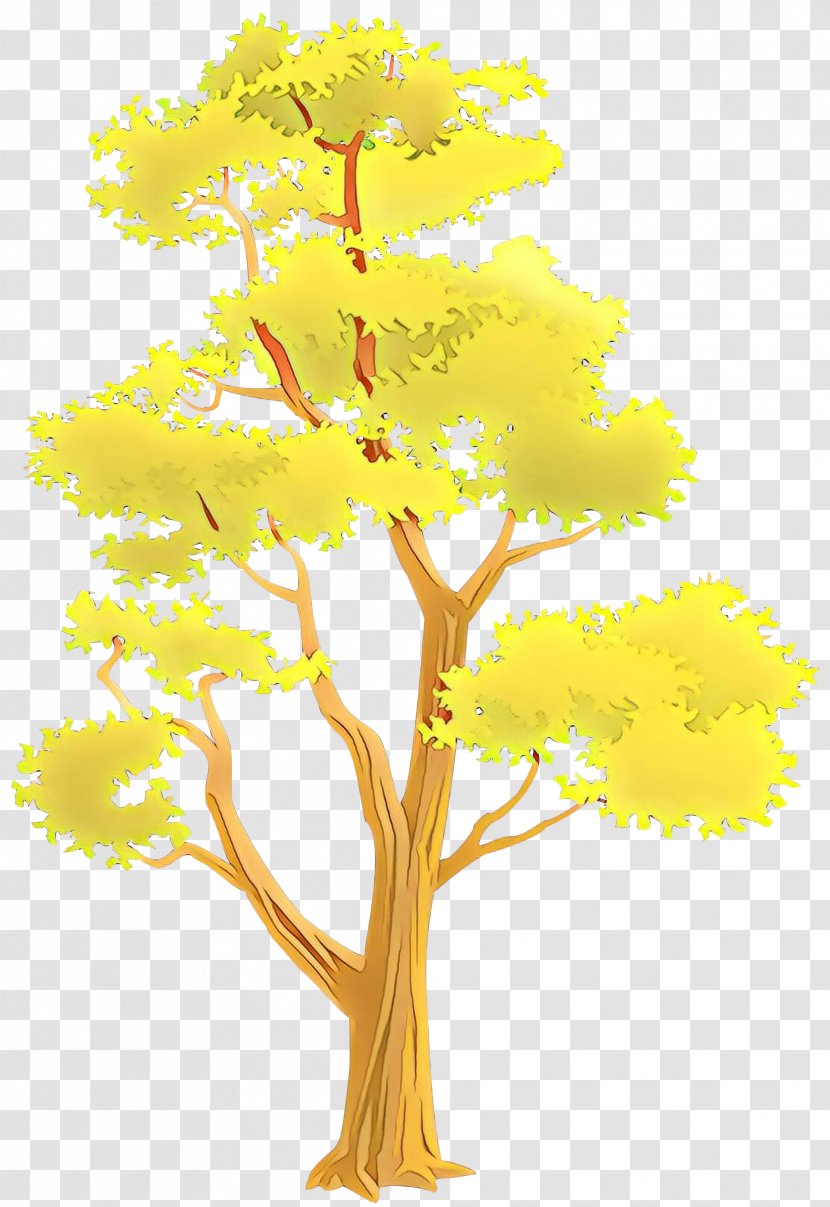 Tree Yellow Plant Woody Leaf - Flower Stem Transparent PNG