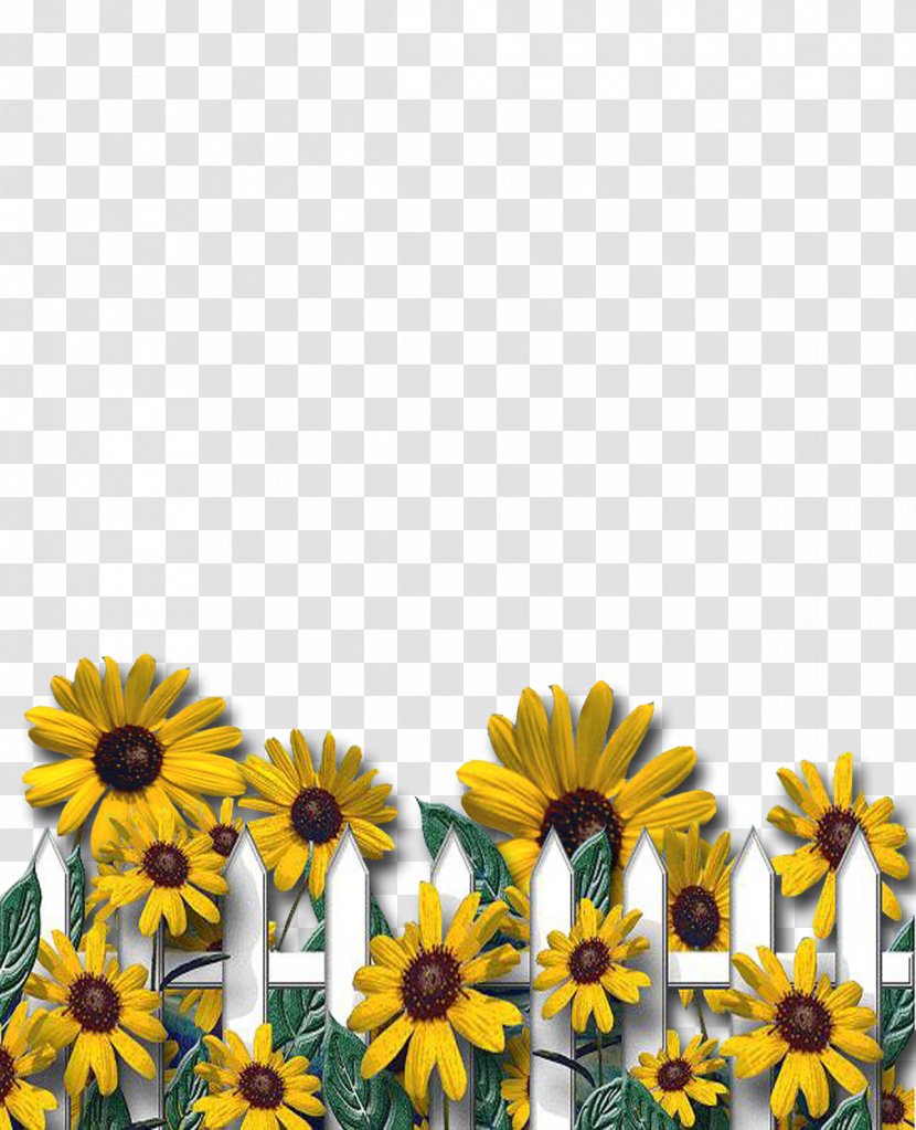 Letter Case Alphabet English - Daisy - Sunflowers Transparent PNG