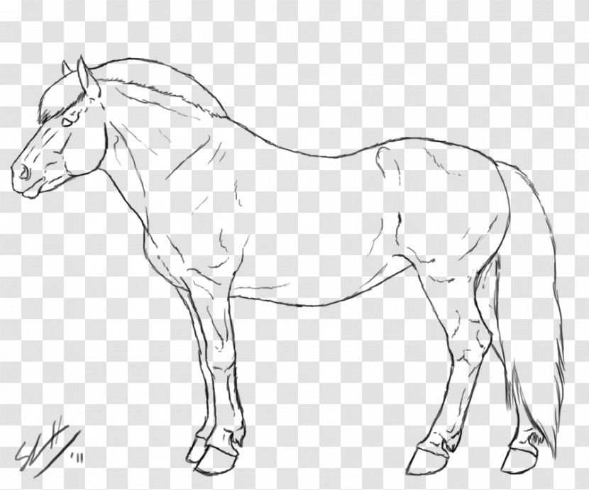 Mule Mustang Stallion Fjord Horse Friesian - Line Art Transparent PNG