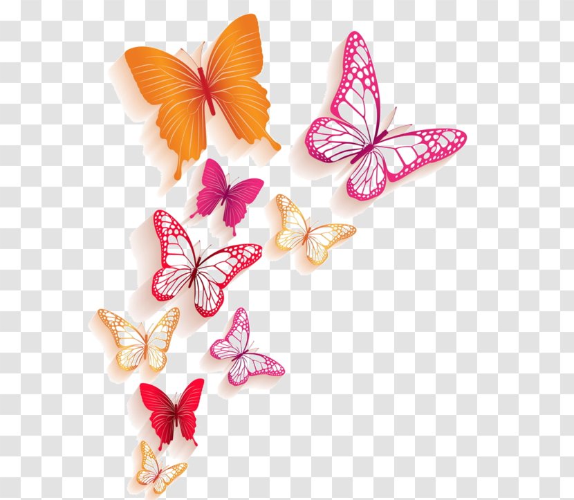 Butterfly Royalty-free Illustration - Invertebrate - Floating Transparent PNG