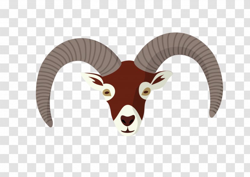 Sheep Cattle Horn Goat Snout Transparent PNG