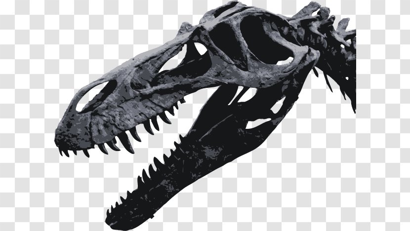 Torvosaurus Tyrannosaurus Maxilla Dinosaur Jaw - Mandible Transparent PNG