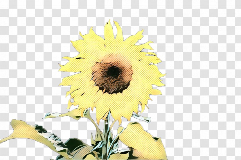 Floral Flower Background - Common Sunflower - Asterales Wildflower Transparent PNG