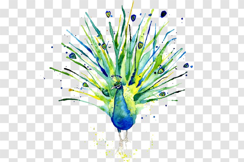 Peafowl Logo Of NBC Watercolor Painting - Peacock Transparent PNG