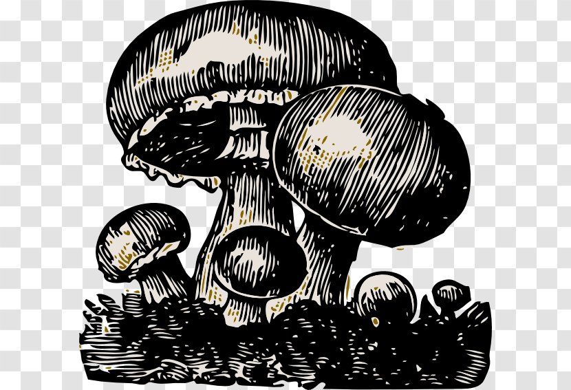 Mushroom Cloud Food Clip Art - Morchella Transparent PNG
