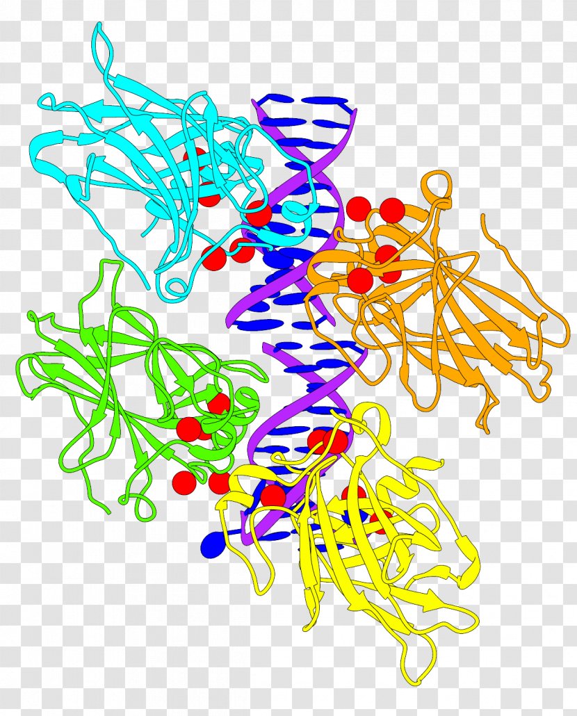 Protein Structure P53 - Art - Chimera Transparent PNG