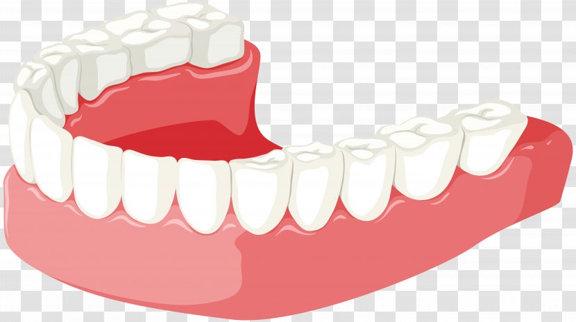 Tooth Jaw Dentures Clip Art - Flower - Dent Transparent PNG