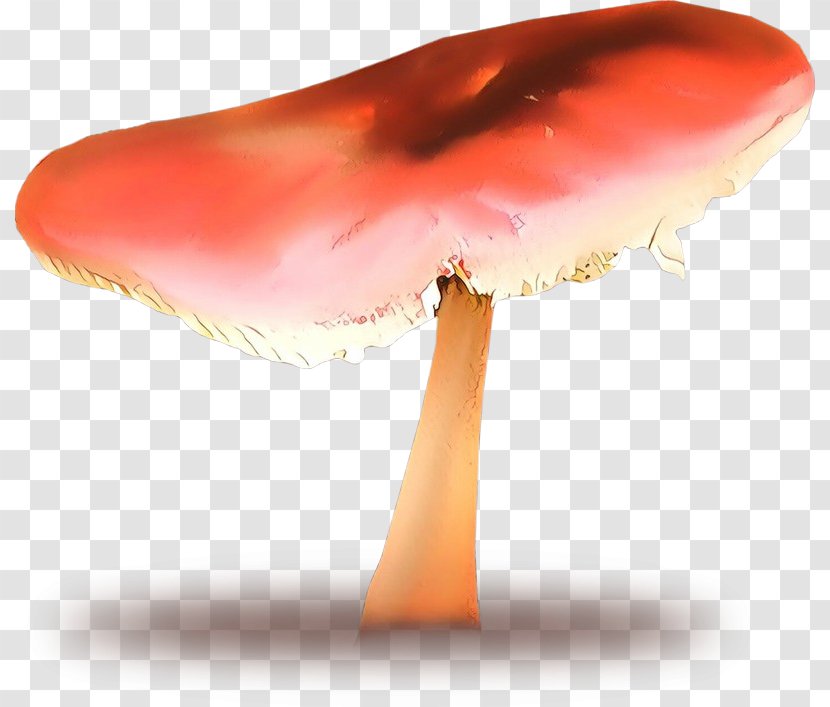 Product Design Medicinal Fungi Mushroom - Agaricomycetes - Red Transparent PNG